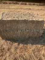 Grote pakken hooi uit natuurgebied, Ophalen