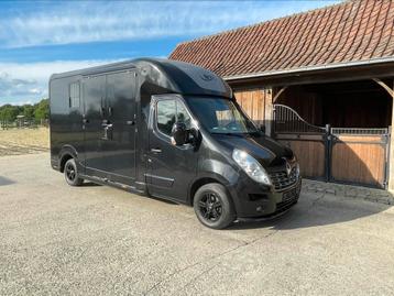 Opvallende STX paardencamionette 25000km!!! beschikbaar voor biedingen