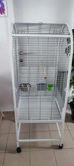 Vogelkooi + toebehoren, Ophalen, Zo goed als nieuw, Overige materialen, Vogelkooi