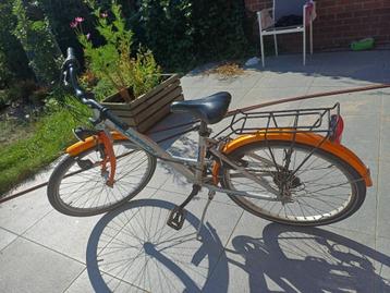 Thompson Lady 24 beschikbaar voor biedingen