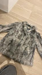 pels grijs, Ophalen of Verzenden