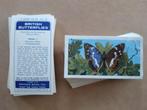 British Butterflies complete set 50 chromos Brooke Bond 1963, Verzamelen, Foto's en Prenten, 1960 tot 1980, Ophalen of Verzenden