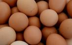 Eieren, Diversen, Levensmiddelen, Ophalen