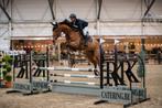 Fijne en brave 7j allrounder, Dieren en Toebehoren, Paarden, Merrie, Springpaard, Gechipt, L