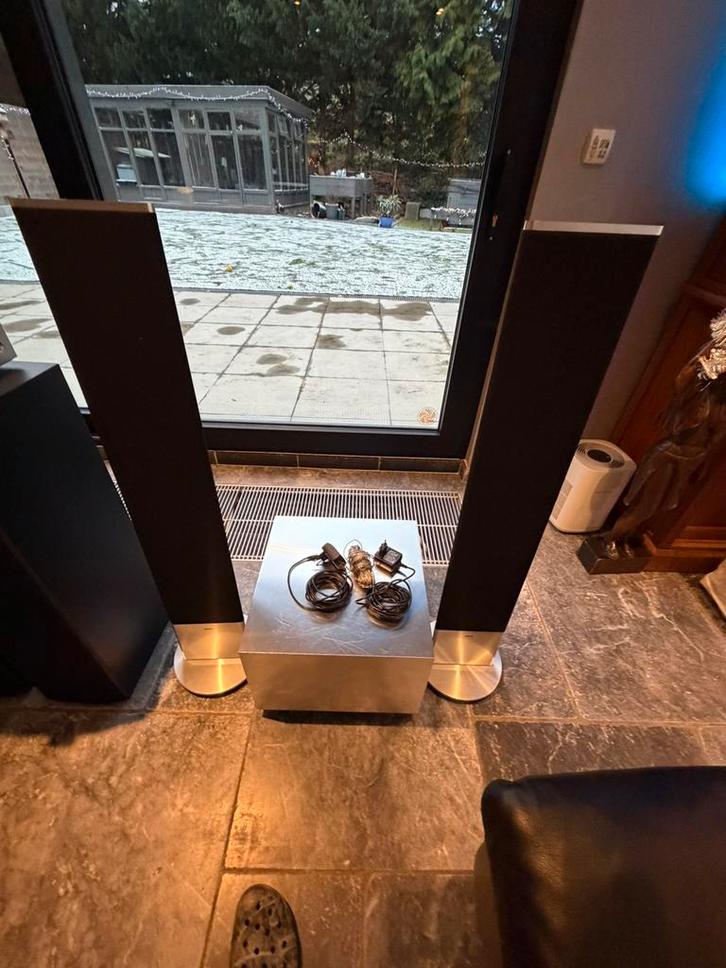 High end electrostaten van loewe met baskast, Audio, Tv en Foto, Luidsprekerboxen, Zo goed als nieuw, Subwoofer, Overige merken