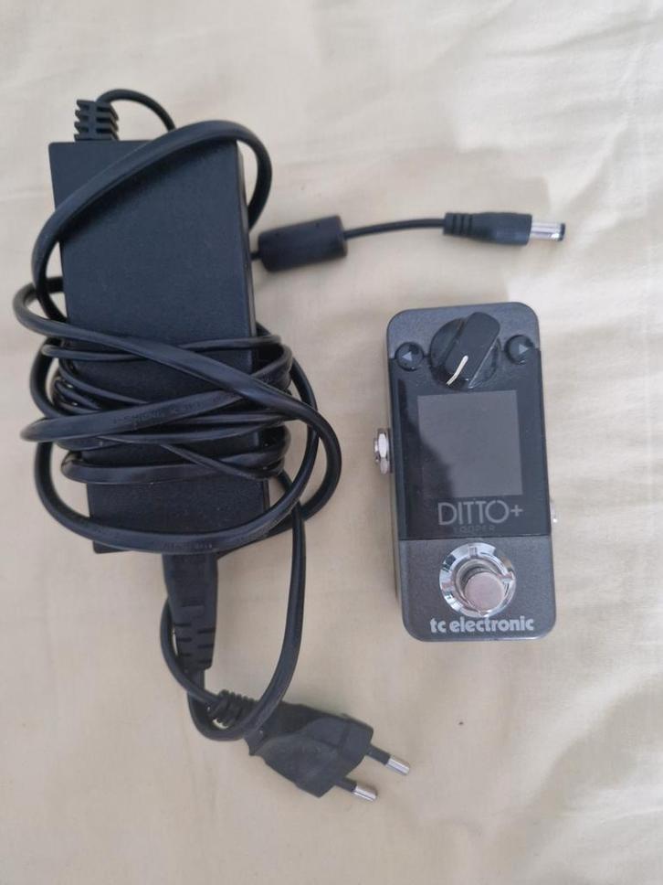 Tc electronic Ditto+ looper pedaal + voeding, Muziek en Instrumenten, Effecten, Zo goed als nieuw, Ophalen