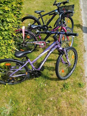 Kinderfietsen 24 inch vanaf 85€, Enlèvement, Comme neuf
