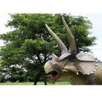 Triceratops — Statue de dinosaure Longueur 434 cm, Enlèvement, Neuf
