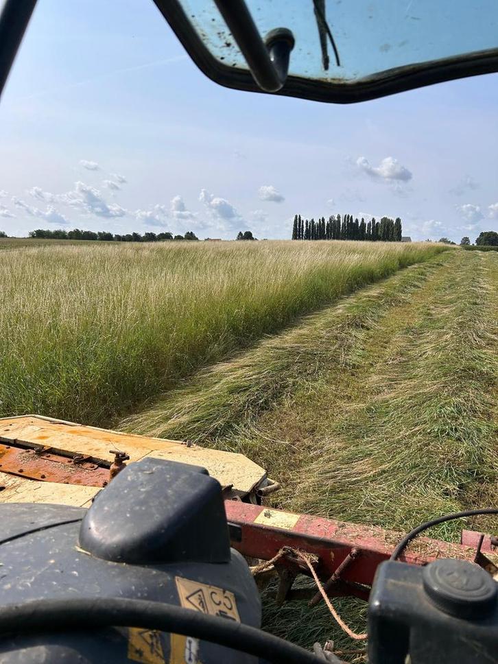Kleine hooibalen, Dieren en Toebehoren, Stalling en Weidegang