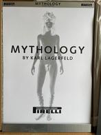 Karel Lagerfeld Mythology Pirelli 2011, Enlèvement
