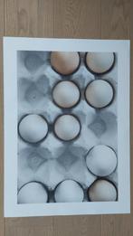 Poster Eggs in a Box, Ophalen, 50 tot 75 cm, Nieuw, Foto of Poster