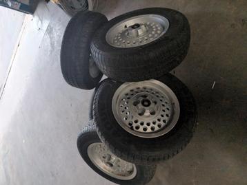 Jaguar velgen . Pepperpot  beschikbaar voor biedingen