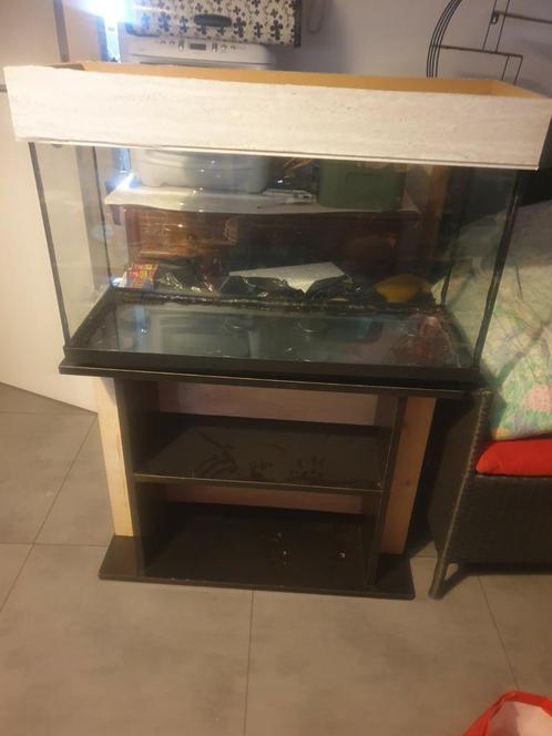 A vendre toutes sortes de choses pour l'aquarium !, Animaux & Accessoires, Poissons | Aquariums & Accessoires, Comme neuf, Enlèvement