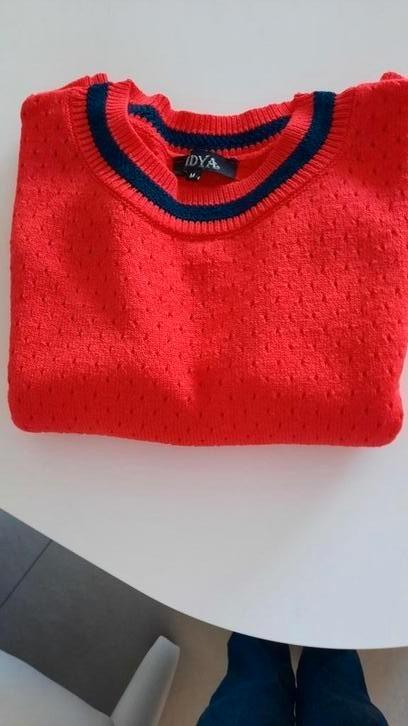 NIEUWE PULL MAAT MEDIUM, Kleding | Dames, Truien en Vesten, Zo goed als nieuw, Maat 38/40 (M), Ophalen