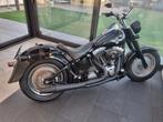 Harley Davidson fatboy 2005 willie g skull edition, Motoren, Motoren | Harley-Davidson, Particulier