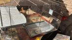 Cage a gerbille ou hamster, Dieren en Toebehoren, Ophalen of Verzenden, Zo goed als nieuw, Kooi, Hamster