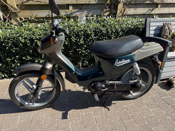 Honda Wallaroo deluxe klasse B, Fietsen en Brommers, Brommers | Honda, Zo goed als nieuw, Overige modellen, Klasse B (45 km/u)