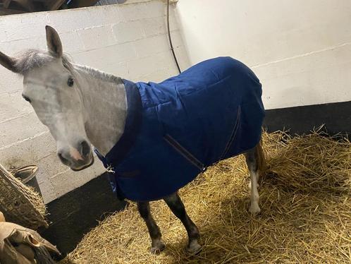 Roosje, Dieren en Toebehoren, Paarden en Pony's | Dekens en Dekjes, Ophalen