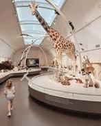 Musée des sciences naturelles - 4 billets, Tickets & Billets