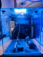 Blue marine 60 zeeaquarium + meubel, Dieren en Toebehoren, Vissen | Aquaria en Toebehoren, Ophalen, Gebruikt, Leeg aquarium