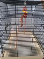 Kooi, Dieren en Toebehoren, Ophalen