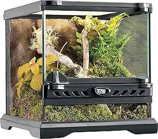 terrarium van glas | GRATIS LEVERING, Dieren en Toebehoren, Reptielen en Amfibieën | Toebehoren, Nieuw, Terrarium of Paludarium