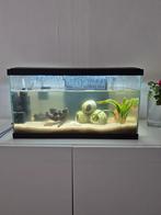 AQUARIUM MET ALLES  sms 487238860, Ophalen of Verzenden, Zo goed als nieuw