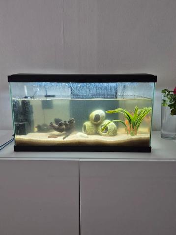 AQUARIUM MET ALLES  sms 487238860 beschikbaar voor biedingen