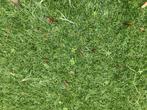 Kunstgras diepte reiniging mos onkruid in tuin of sportveld, Ophalen, Nieuw, Kunstgras