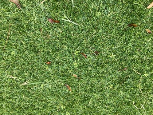 Kunstgras diepte reiniging mos onkruid in tuin of sportveld, Tuin en Terras, Gras en Kunstgras, Nieuw, Kunstgras, Ophalen