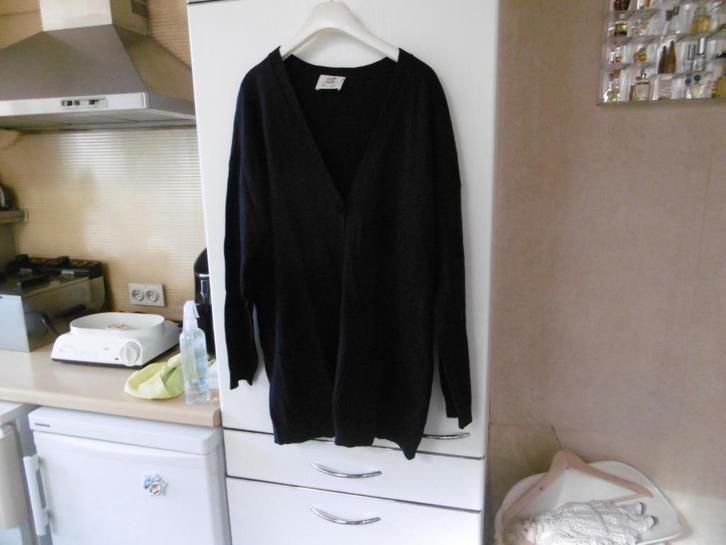 kledij dames trui "thelma&louise" M blauw, Kleding | Dames, Truien en Vesten, Zo goed als nieuw, Maat 38/40 (M), Blauw, Ophalen of Verzenden