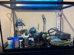 Starterspakket aquarium