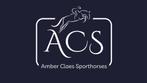 Training van sportpaarden en pony's, Dieren en Toebehoren