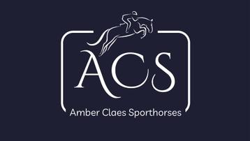 Training van sportpaarden en pony's beschikbaar voor biedingen