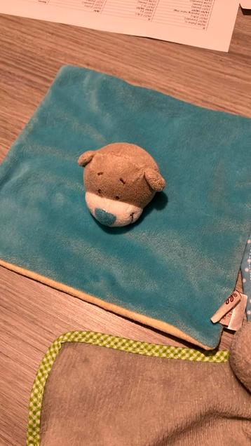 Meerdere Doudou's baby beschikbaar voor biedingen