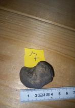 Fossiles en spirale (NR7), Collections, Enlèvement ou Envoi, Fossile