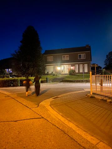 Te koop villa  maasmechelen, Immo