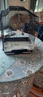 Cage d'oiseau à vendre, Enlèvement, Utilisé, Métal, Cage à oiseaux