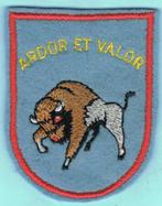Belgian Air Force Sleeve Insignia ( MS45 ), Verzamelen, Ophalen of Verzenden, Luchtmacht, Embleem of Badge