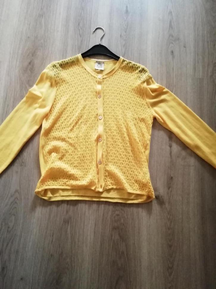 Zeer zeer mooie gilet Attic And Barn, NIEUW, Kleding | Dames, Truien en Vesten, Nieuw, Maat 42/44 (L), Geel, Ophalen of Verzenden