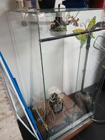 Terrarium, Dieren en Toebehoren, Ophalen, Gebruikt, Terrarium of Paludarium
