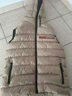 Icon Milano M Bodywarmers, Kleding | Heren, Ophalen, Zo goed als nieuw, Overige kleuren, Icon milona