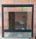 Terrarium  25x25x25, Ophalen, Zo goed als nieuw, Terrarium of Paludarium
