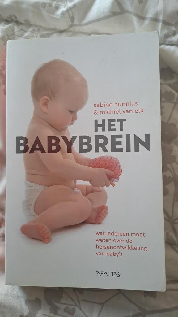 Sabine Hunnius - Het babybrein, Boeken, Kinderboeken | Baby's en Peuters, Zo goed als nieuw, Ophalen of Verzenden