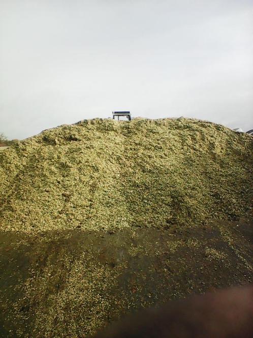 Gras Te Koop, Zakelijke goederen, Landbouw | Veevoer, Ophalen of Verzenden