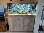 Aquatlantis 250 liter aquarium, Dieren en Toebehoren, Ophalen, Zo goed als nieuw
