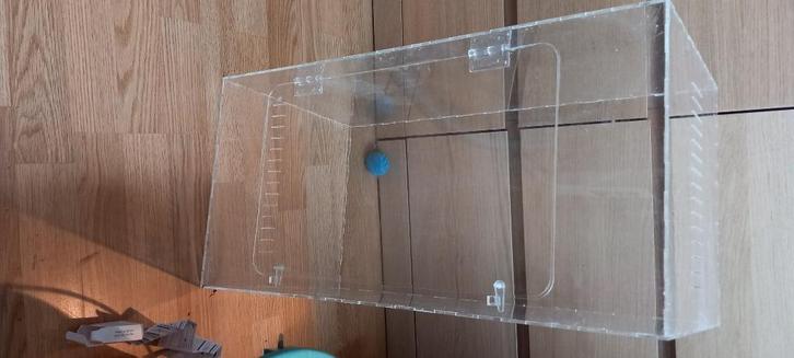 Terrarium Acryl 30-30-60, Dieren en Toebehoren, Reptielen en Amfibieën | Toebehoren, Gebruikt, Terrarium of Paludarium, Ophalen