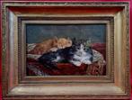 Cats 1890 - Schilder om te identificeren - Frame 1830 -, Antiek en Kunst, Ophalen of Verzenden