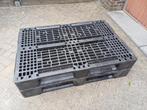 Pallets te koop (Kunststof & Plastic), Ophalen of Verzenden, Gebruikt