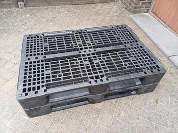 Pallets te koop (Kunststof & Plastic), Enlèvement ou Envoi, Utilisé